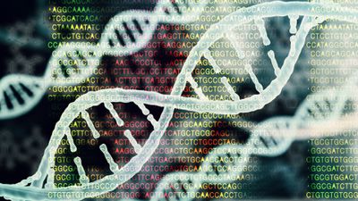 Biotechnology bioinformatics