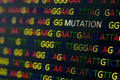 lines of colour-coded DNA sequence which includes the word mutation