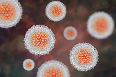 Hepatitis C virus