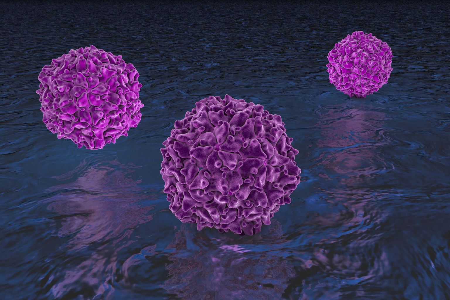 Sensitive poliovirus detection using nested PCR and nanopore sequencing: a prospective validation study