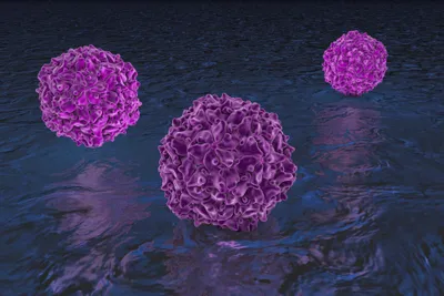 Polio virus