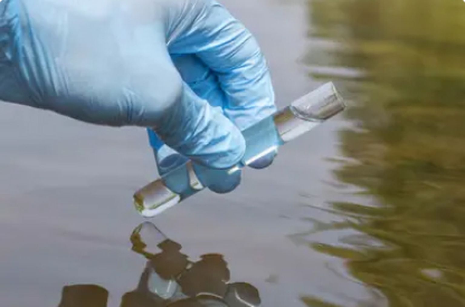 Determining genotype and antimicrobial resistance of Salmonella Typhi in environmental samples by amplicon sequencing