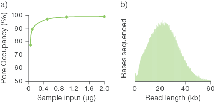 Figure 1: Sample input and pore occupancy Figure 1: Sample input and pore occupancy