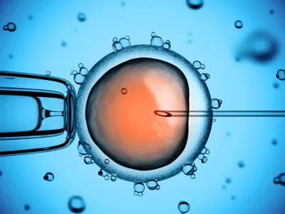 embryo testing