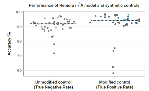 Graph showing the performance of the Remora m6A model. The method achieved a median true positive rate of 94.5% and a median true negative rate of 92%.
