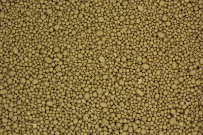 Supporting data for "de novo assembly and population genomic survey of natural yeast isolates with the Oxford Nanopore MinION sequencer"
