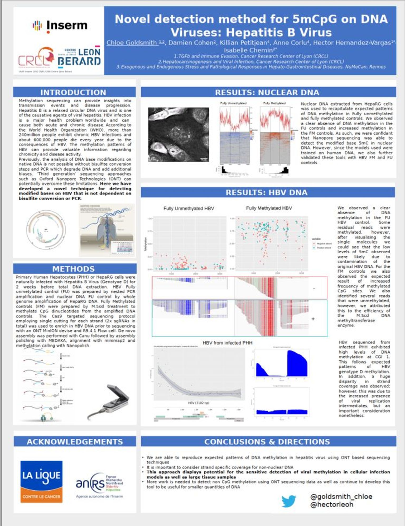 Novel detection method for 5mCpG on DNA Viruses: Hepatitis B Virus