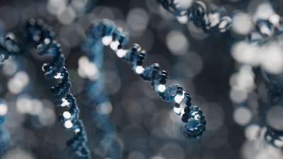 Strand of DNA with variants highlighted in white