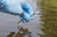 Mapping coliphage diversity for next-generation drinking water security through the nanopore lens