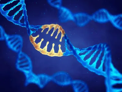 dna helix with targeted bases