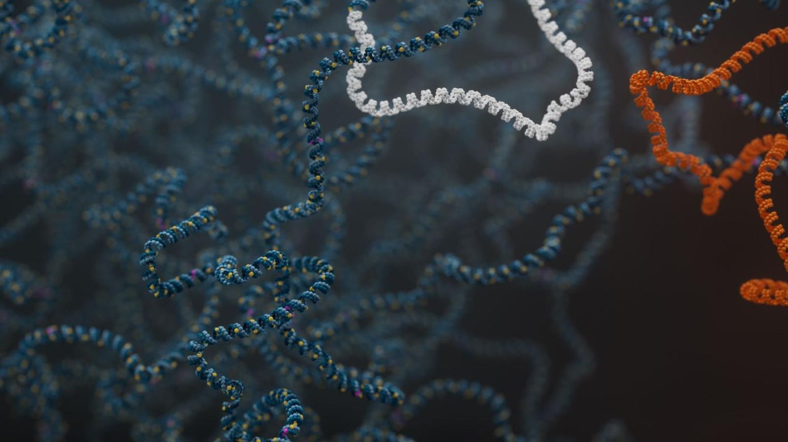The Platinum Pedigree: a long-read benchmark for genetic variants