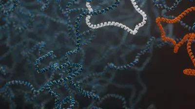 Unlocking rare diseases with nanopore sequencing