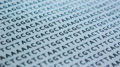 LINKS: Scalable, alignment-free scaffolding of draft genomes with long reads