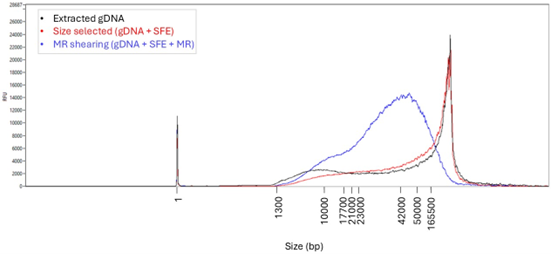 Chromatin_accessibility_know_how_figure_1