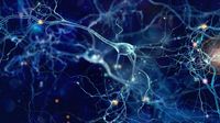 Targeted long-read sequencing as a single assay improves diagnosis of spastic-ataxia disorders