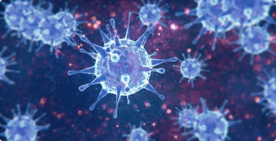 virus