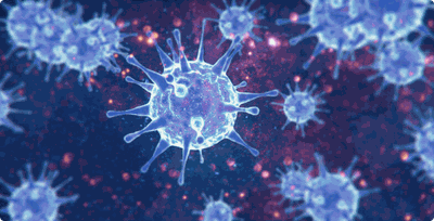 virus