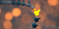 Getting started guide: methylation