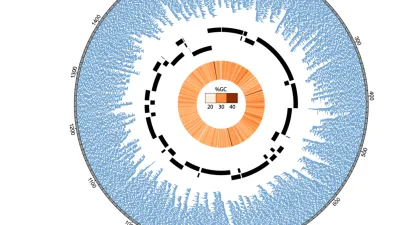 Scaffolding of a bacterial genome using MinION nanopore sequencing