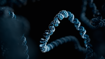 Visualisation of a DNA molecule