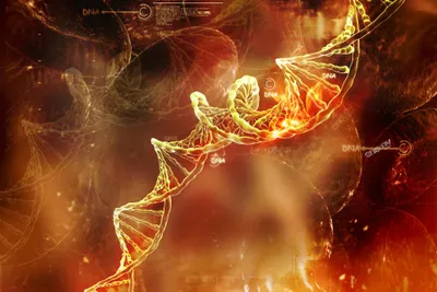Yellow DNA helix on red background