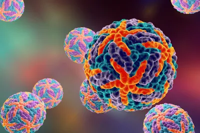 Colourful Dengue Virus