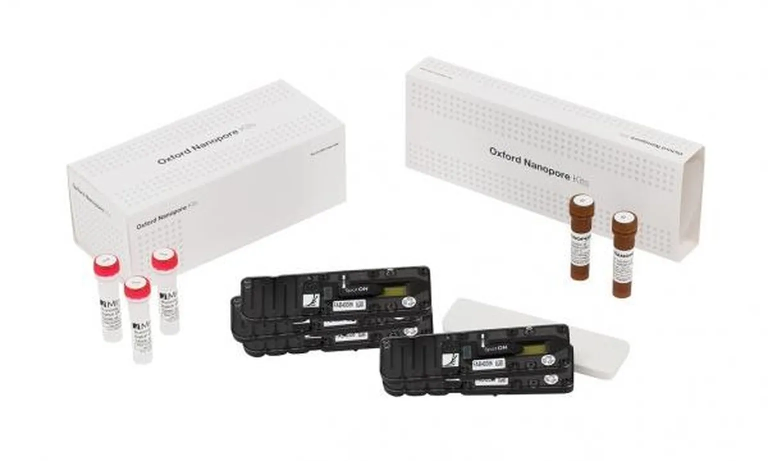 MinION flow cells and kits