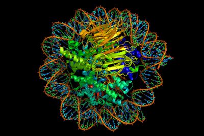 Nucleosome Structure