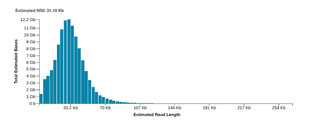 seq performance