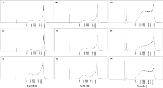 Chromatin_accessibility_know_how_figure_A1