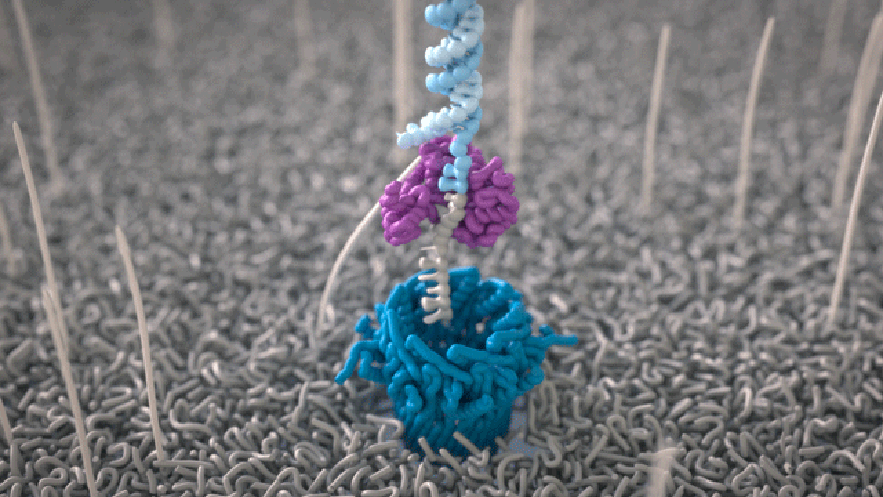 Animation showing a DNA strand passing through a nanopore