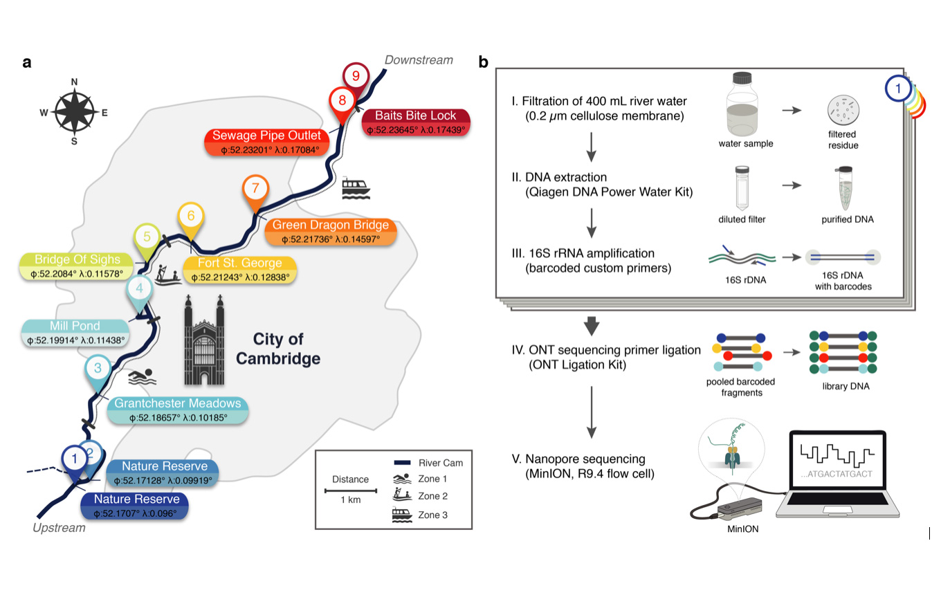 Developing a metagenomic sequencing workflow for freshwater monitoring