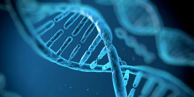 High resolution HLA genotyping with third-generation sequencing technology—a multicentre study