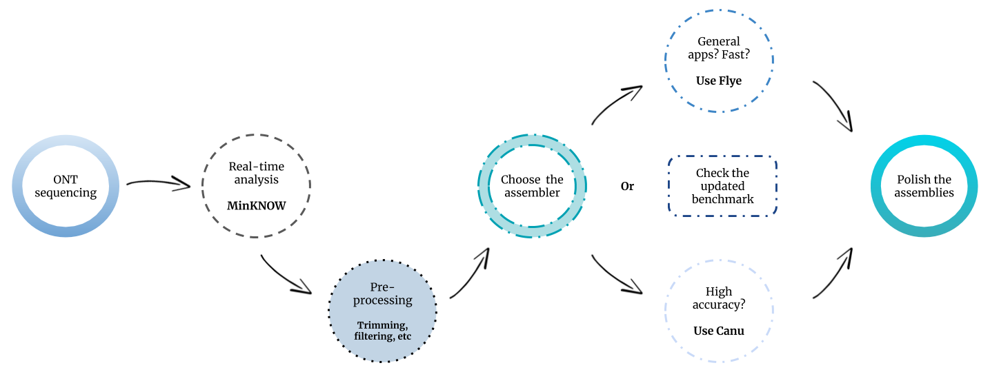 Proposed assembly workflow for nanopore metagenomic sequencing.