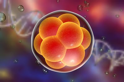 Cost-effective and flexible preimplantation genetic testing (PGT) using adaptive sampling-based targeted nanopore sequencing (ASTN-seq)