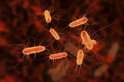 Pathogen safety in biopharma: sequencing to come