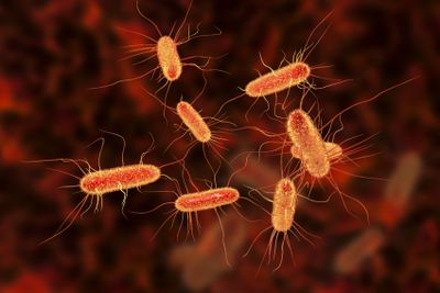 Pathogen safety in biopharma: sequencing to come