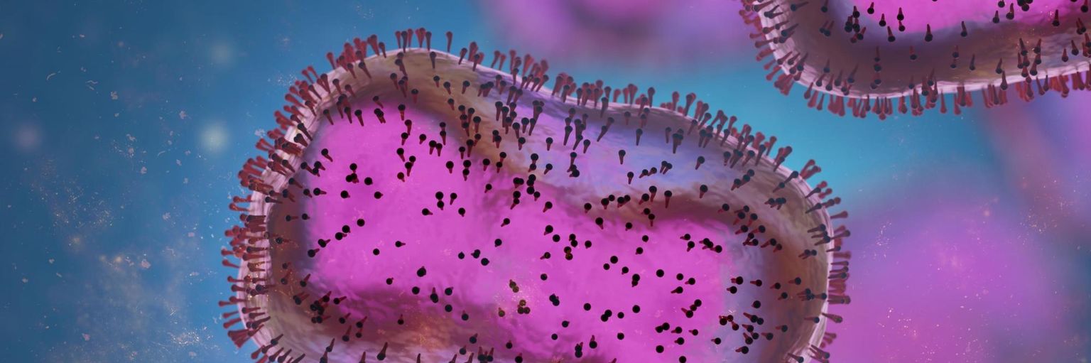 Nanopore adaptive sampling of a metagenomic sample derived from a human monkeypox case