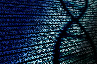 Pushing the boundaries of rare disease diagnostics with the help of the first Undiagnosed Hackathon