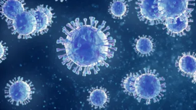 Blue hepatitis virus