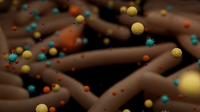 Application note: Oxford Nanopore sequencing provides superior MAG recovery and strain-level resolution from a complex microbiome