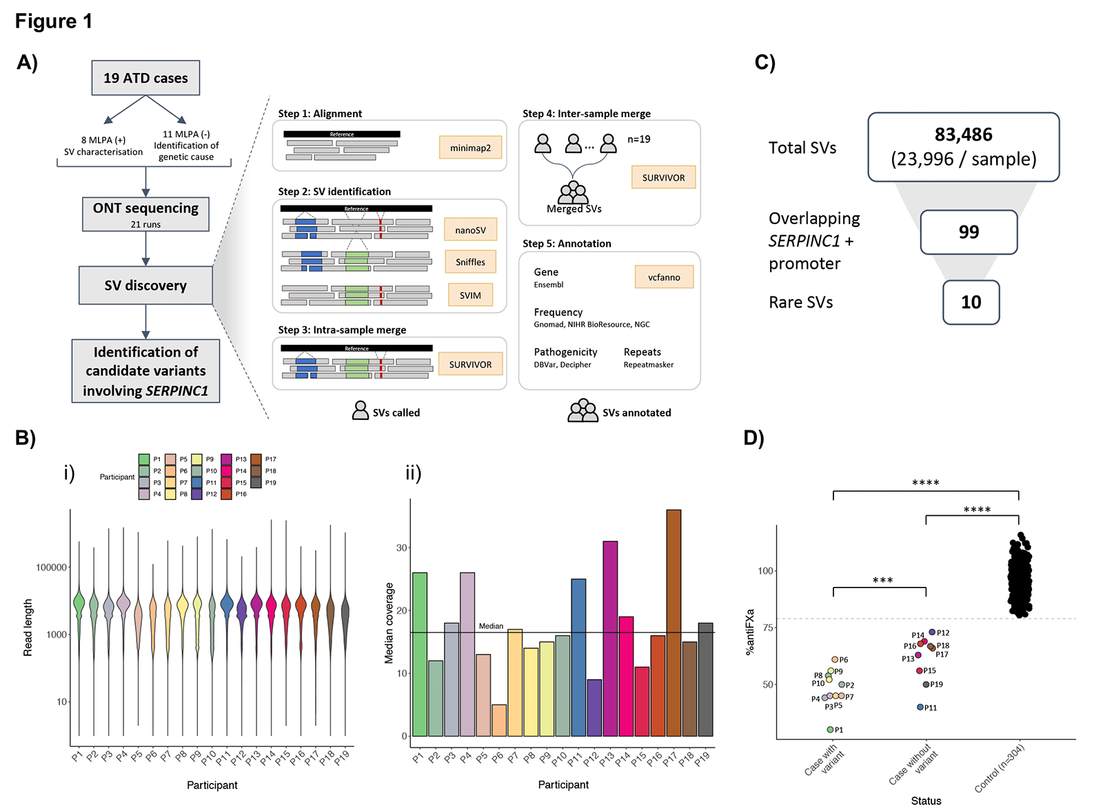 Figure 1. Long-read sequencing workflow and results