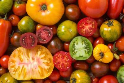 photograph of mixture of tomatoes