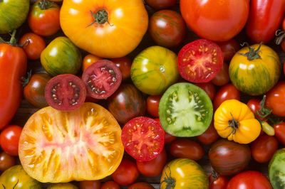 photograph of mixture of tomatoes