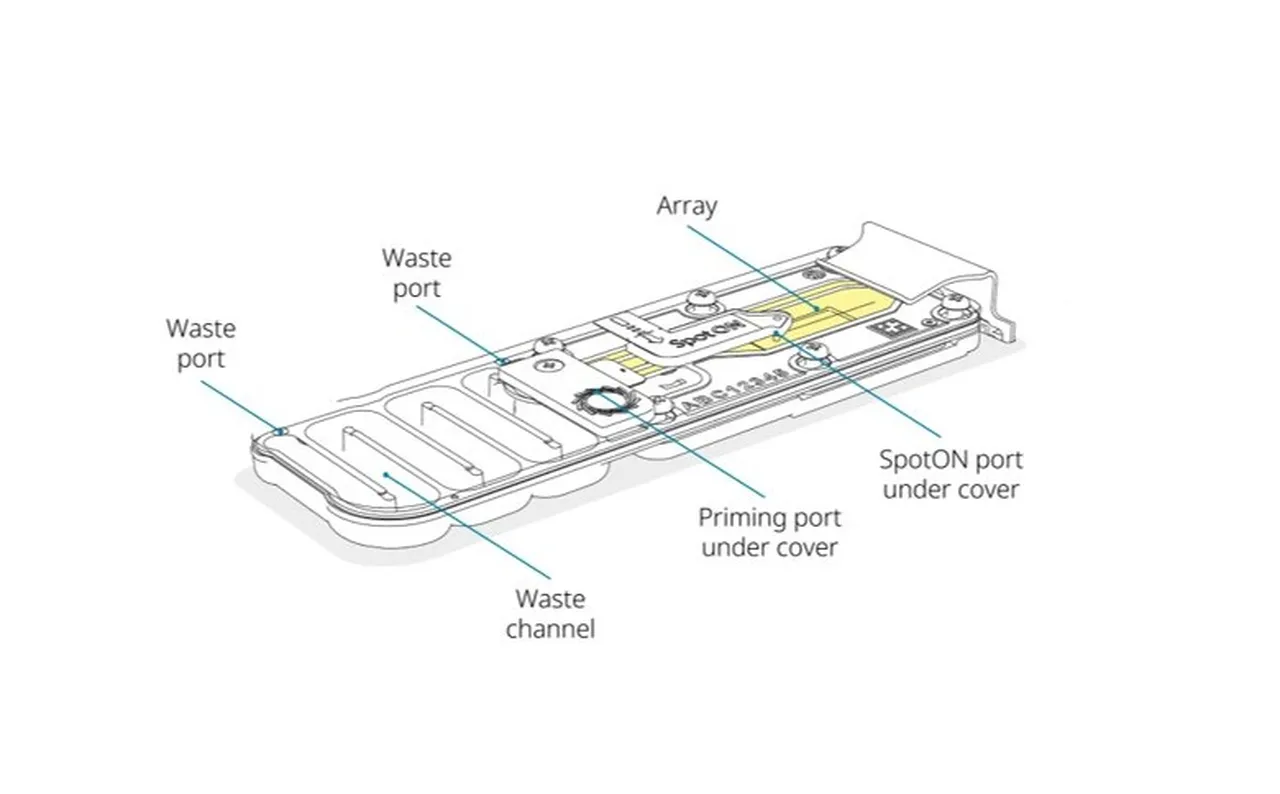 Illustration of the MinION Flow Cell