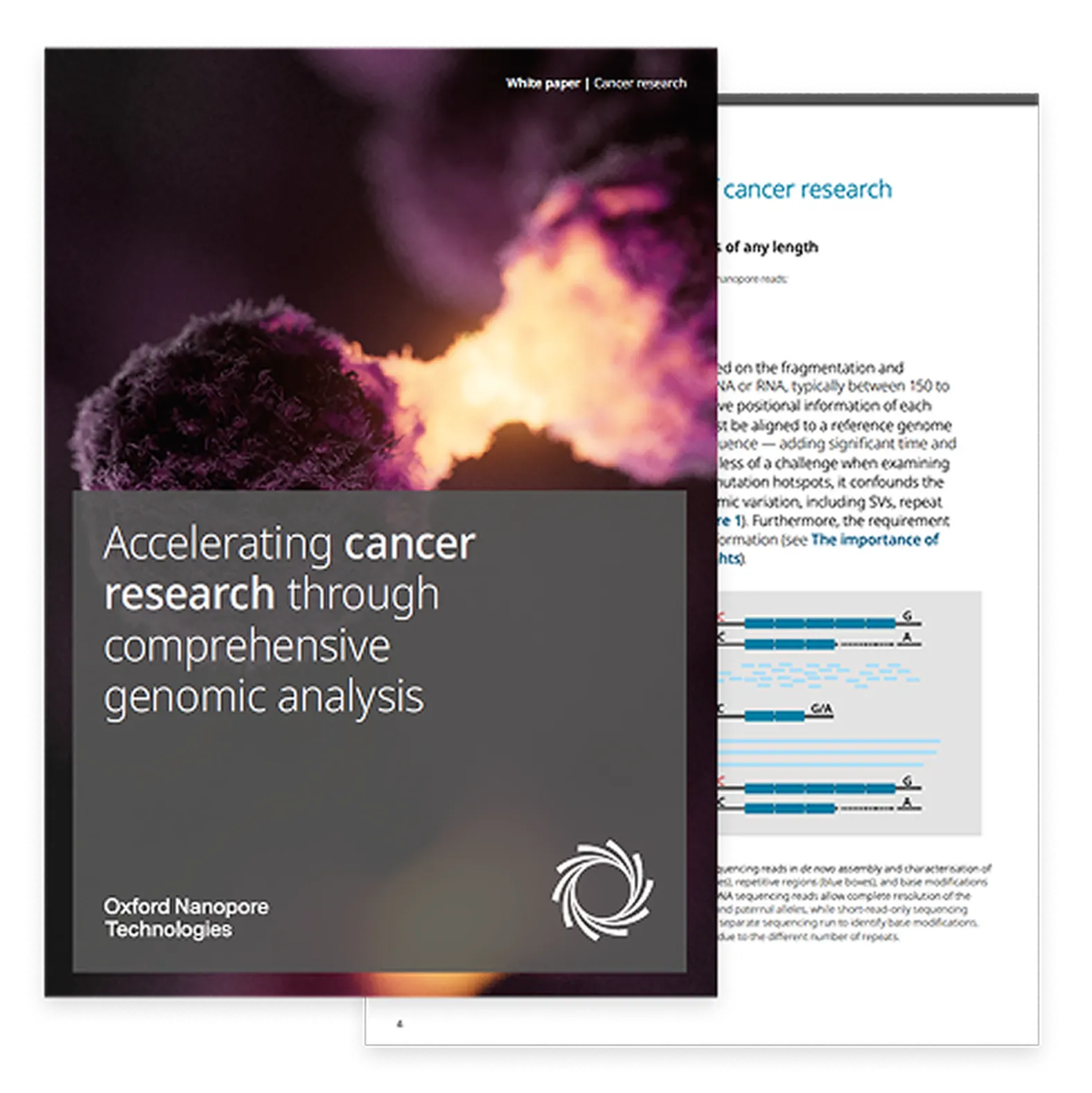 Cover of the cancer research white paper