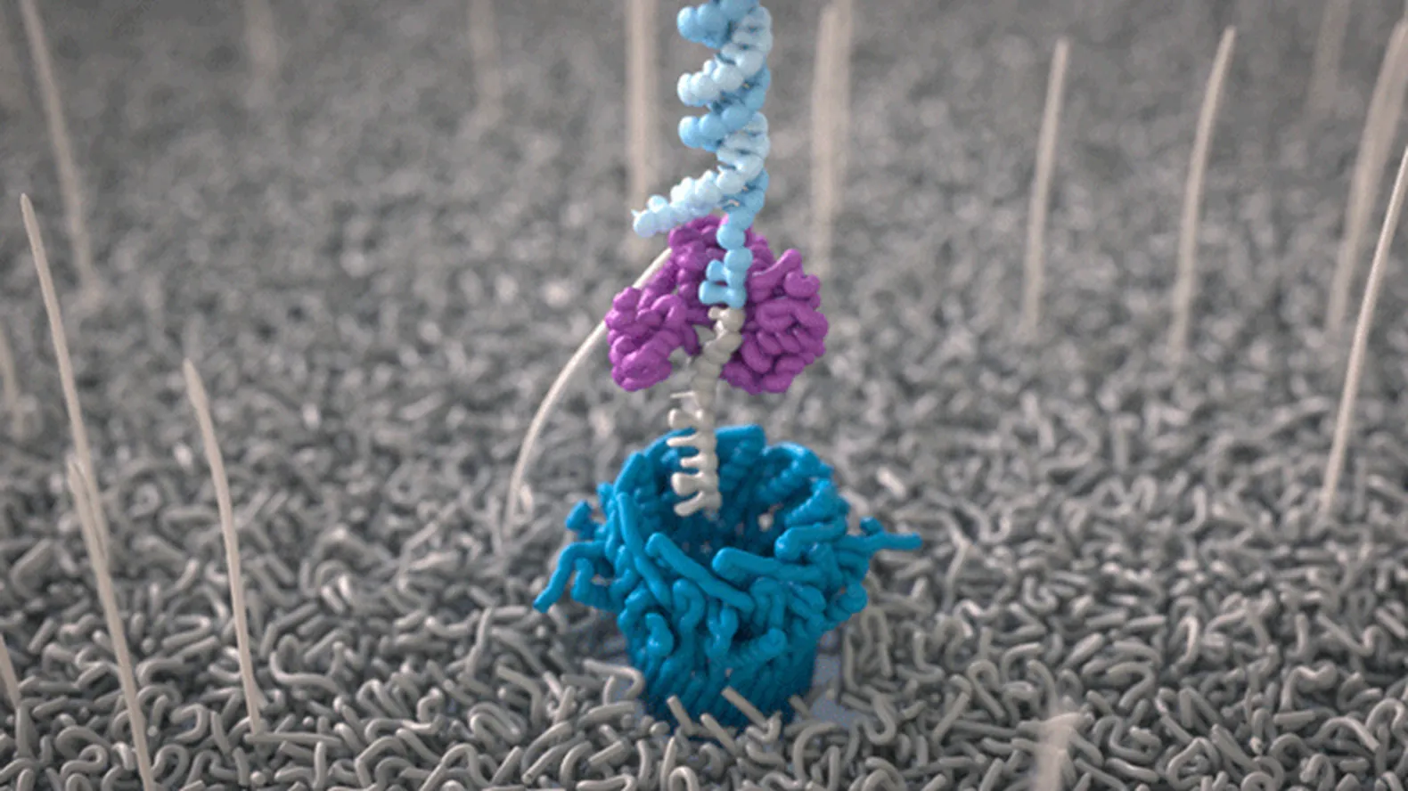 How nanopore sequencing works