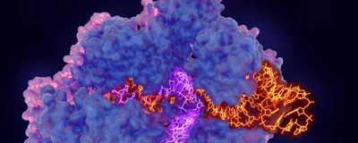 CRISPR CAS9