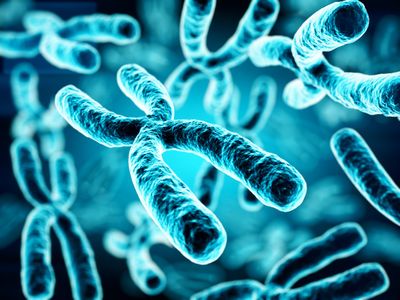 Chromosome