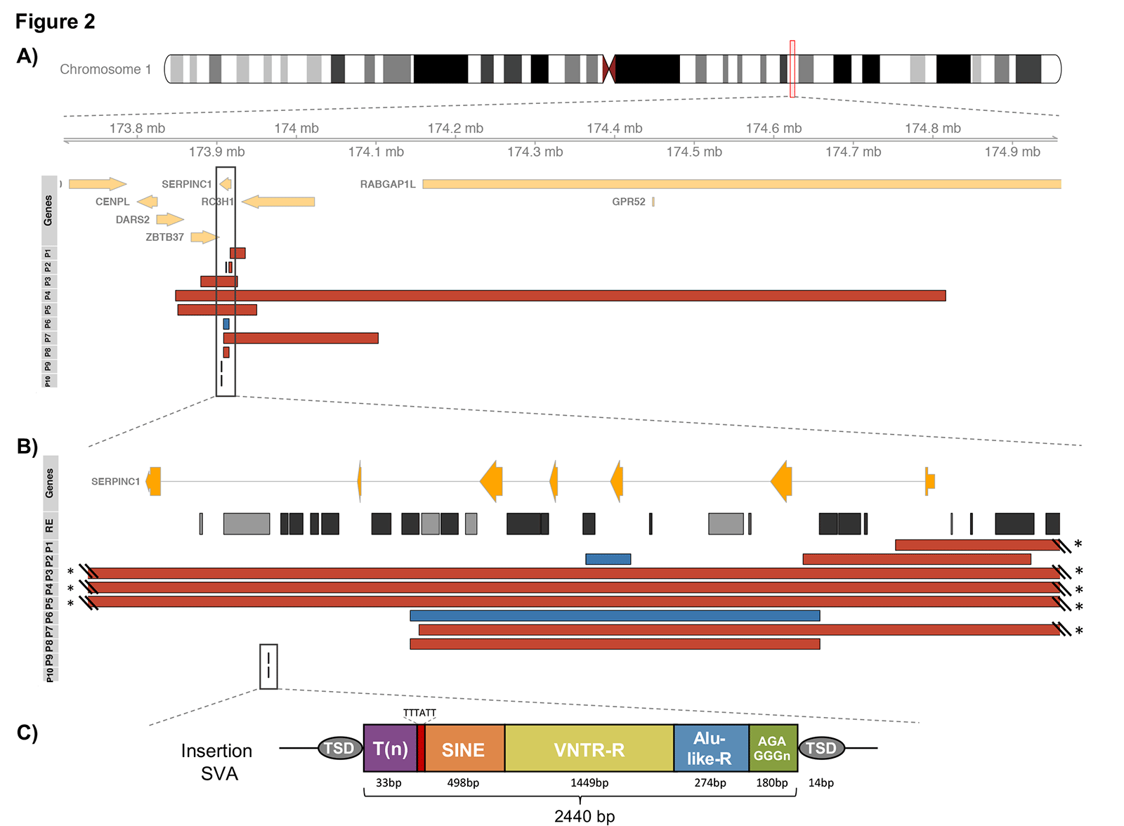 Figure 2. Candidate SVs identified by nanopore long-read sequencing